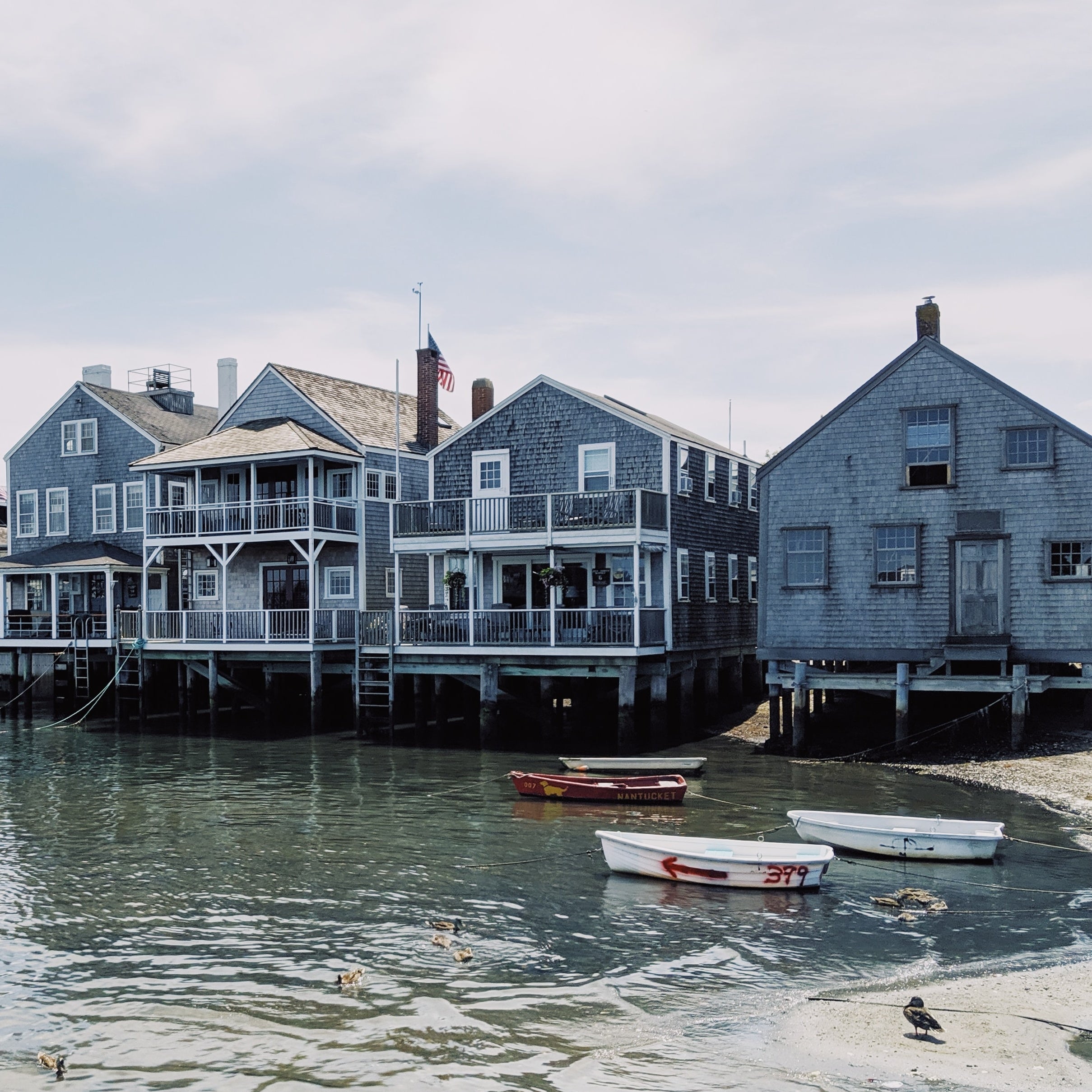 Guest Feature: Emily Lucille Sather