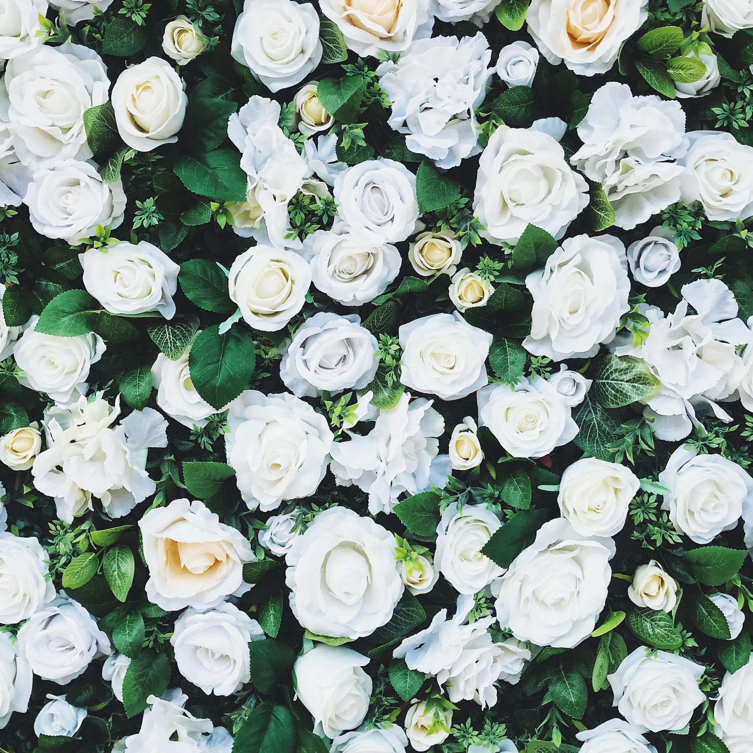 Guest Feature: Customer, and new bride, Kathryn