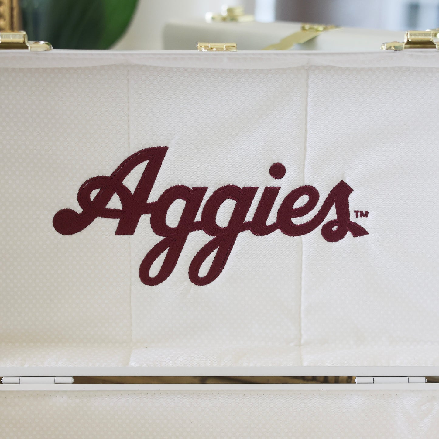 Texas A&M University® Trunk